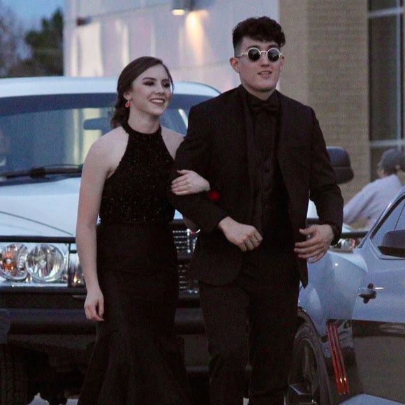 Meet your Posher, Valentino - Picture 1 of 1